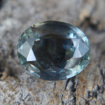 Natural Parti Sapphire - Sapphirepal