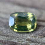 Natural Parti Sapphire - Sapphirepal