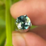 Natural Parti Sapphire - Sapphirepal