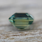 Natural Parti Sapphire - Sapphirepal