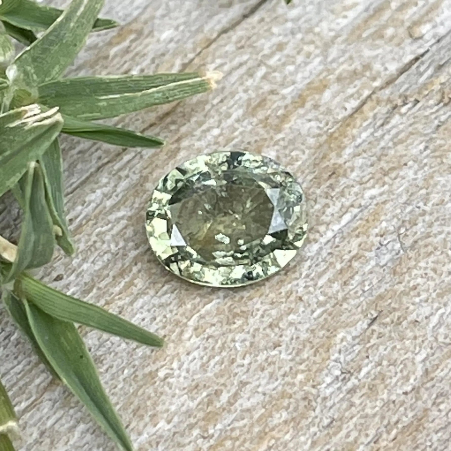 Natural Parti Sapphire - Sapphirepal