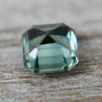 Natural Parti Sapphire - Sapphirepal