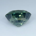 Natural Parti Sapphire - Sapphirepal