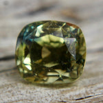 Natural Parti Sapphire - Sapphirepal