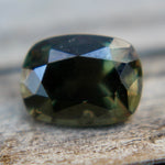 Natural Parti Sapphire - Sapphirepal