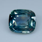 Natural Parti Sapphire - Sapphirepal