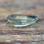 Natural Parti Sapphire - Sapphirepal