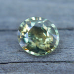 Natural Parti Sapphire - Sapphirepal