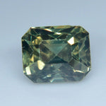 Natural Parti Sapphire - Sapphirepal