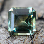 Natural Parti Sapphire - Sapphirepal