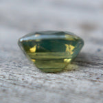 Natural Parti Sapphire - Sapphirepal