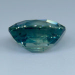 Natural Parti Sapphire - Sapphirepal