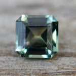 Natural Parti Sapphire - Sapphirepal