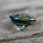 Natural Parti Sapphire - Sapphirepal