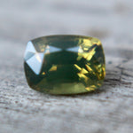 Natural Parti Sapphire - Sapphirepal