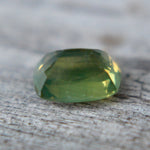 Natural Parti Sapphire - Sapphirepal