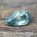 Natural Parti Sapphire - Sapphirepal
