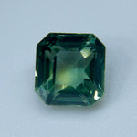 Natural Parti Sapphire - Sapphirepal