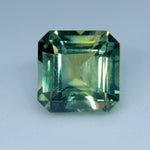 Natural Parti Sapphire - Sapphirepal