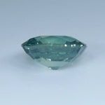 Natural Parti Sapphire - Sapphirepal