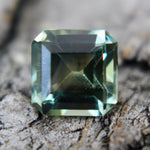 Natural Parti Sapphire - Sapphirepal