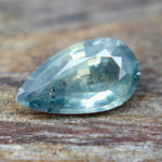 Natural Parti Sapphire - Sapphirepal