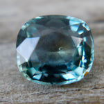 Natural Parti Sapphire - Sapphirepal