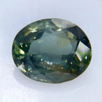 Natural Parti Sapphire - Sapphirepal