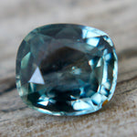 Natural Parti Sapphire - Sapphirepal