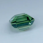 Natural Parti Sapphire - Sapphirepal