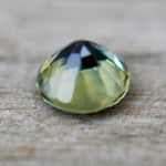 Natural Parti Sapphire - Sapphirepal