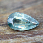 Natural Parti Sapphire - Sapphirepal