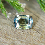 Natural Tri Coloured Sapphire - Sapphirepal