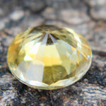 Natural Yellow Sapphire - Sapphirepal