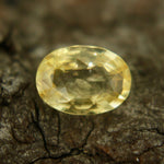 Natural Yellow Sapphire - Sapphirepal
