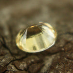Natural Yellow Sapphire - Sapphirepal