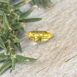 Natural Yellow Sapphire - Sapphirepal