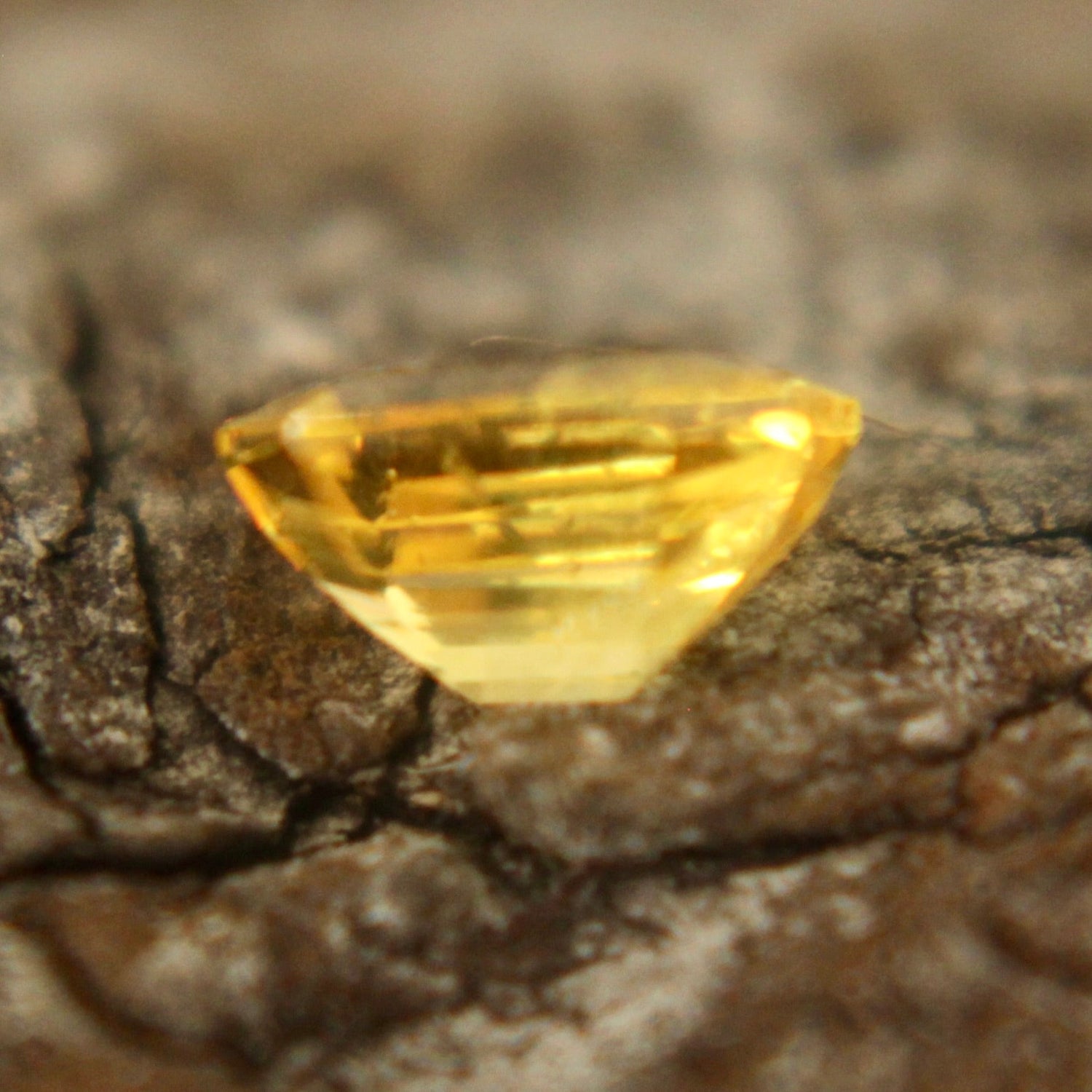 Natural Yellow Sapphire - Sapphirepal
