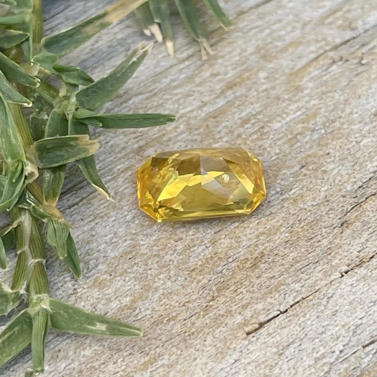 Ceylon Yellow Sapphire gemstone for fine jewelry and engagement rings