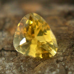 Natural Yellow Sapphire - Sapphirepal