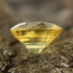 Natural Yellow Sapphire - Sapphirepal