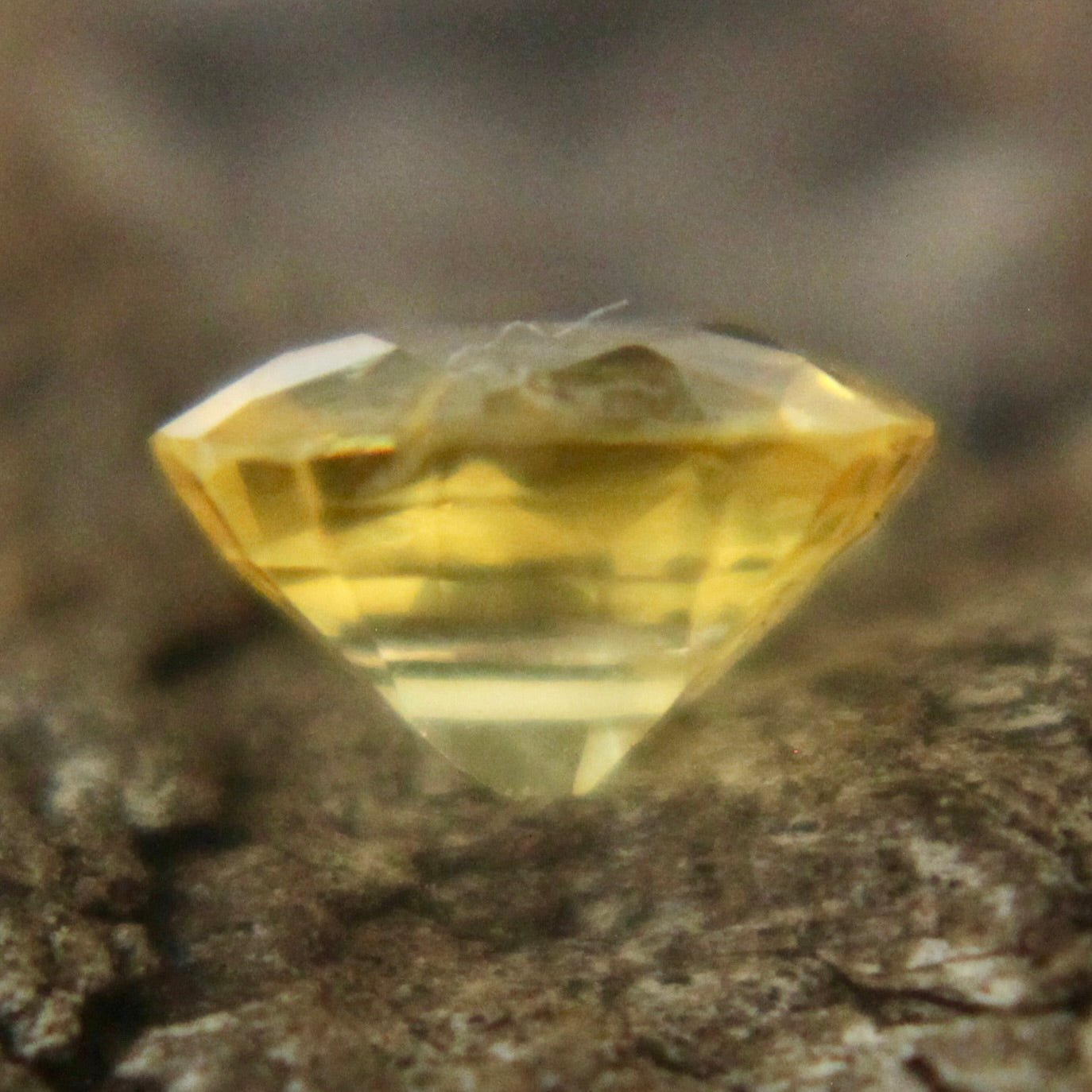 Natural Yellow Sapphire - Sapphirepal