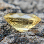 Natural Yellow Sapphire - Sapphirepal