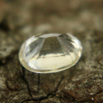 Natural Yellow Sapphire - Sapphirepal