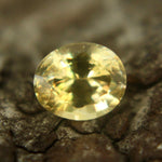 Natural Yellow Sapphire - Sapphirepal