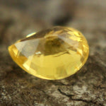 Natural Yellow Sapphire - Sapphirepal