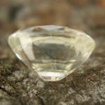 Natural Yellow Sapphire - Sapphirepal