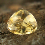 Natural Yellow Sapphire - Sapphirepal