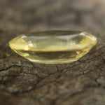 Natural Yellow Sapphire - Sapphirepal