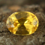 Natural Yellow Sapphire - Sapphirepal